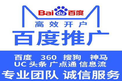 谷歌SEM案例研究：数据分析与效果评估